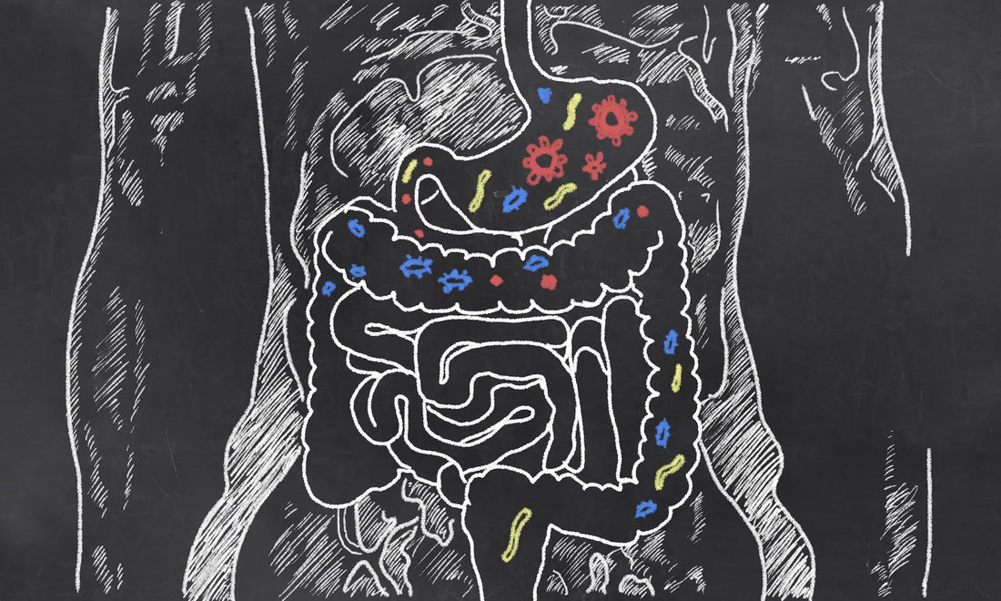 Lactose intolerance and IBS—what's the connection?