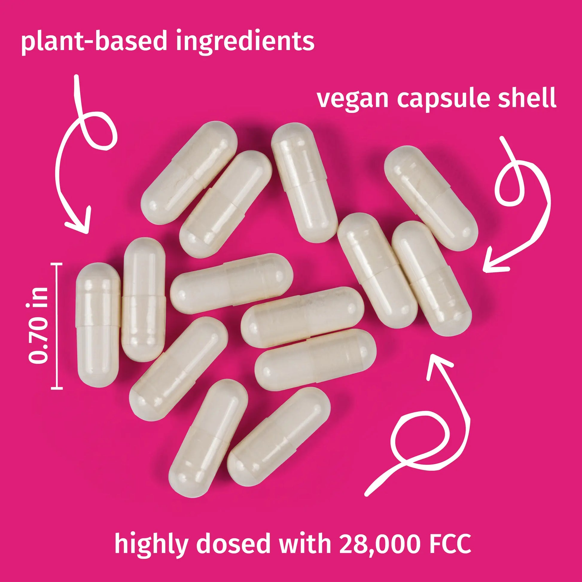LactoJoy Forte - pland-based ingredients & vegan capsule shell