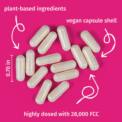 LactoJoy Forte - pland-based ingredients & vegan capsule shell